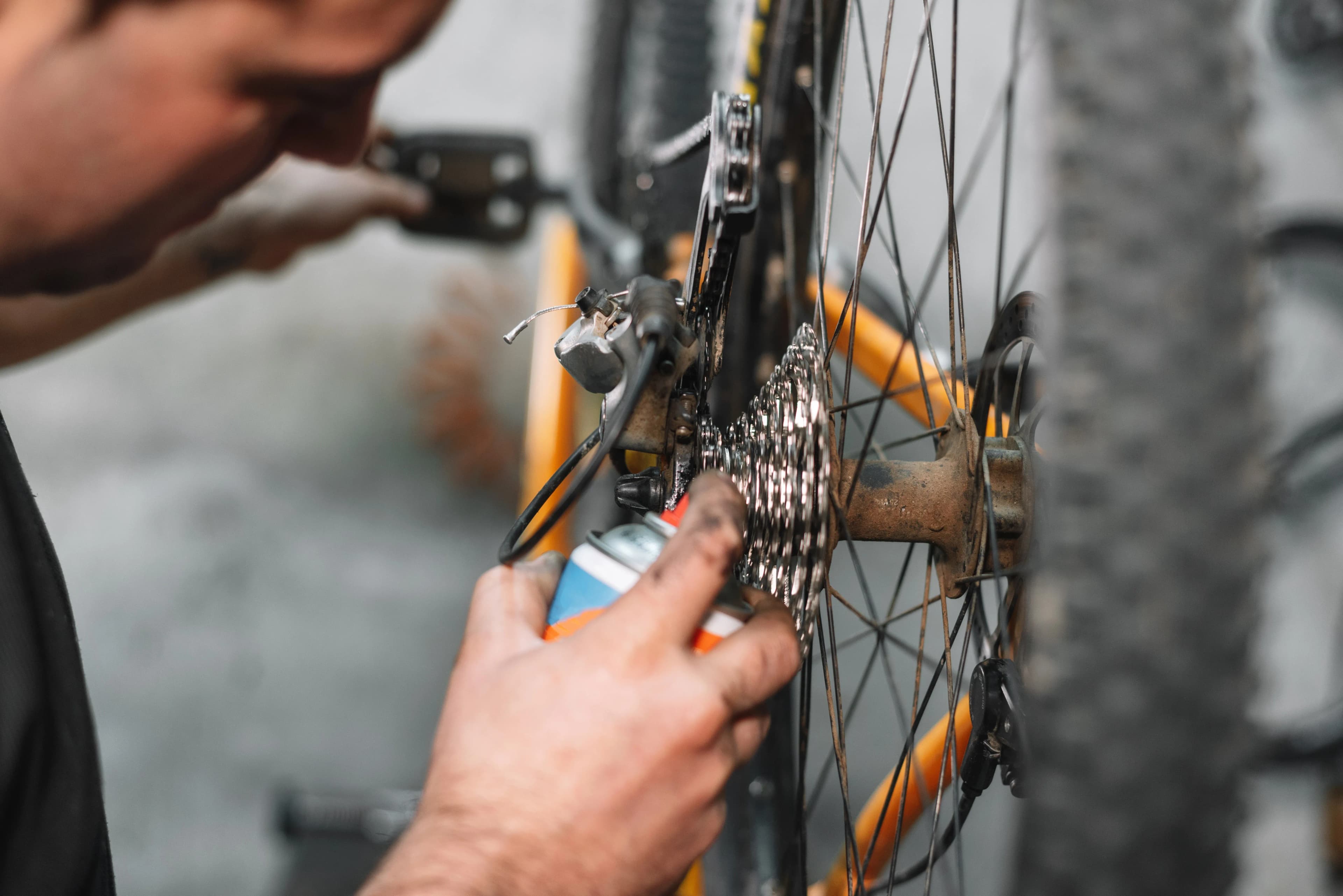 Mountainbike Service in Hörsching